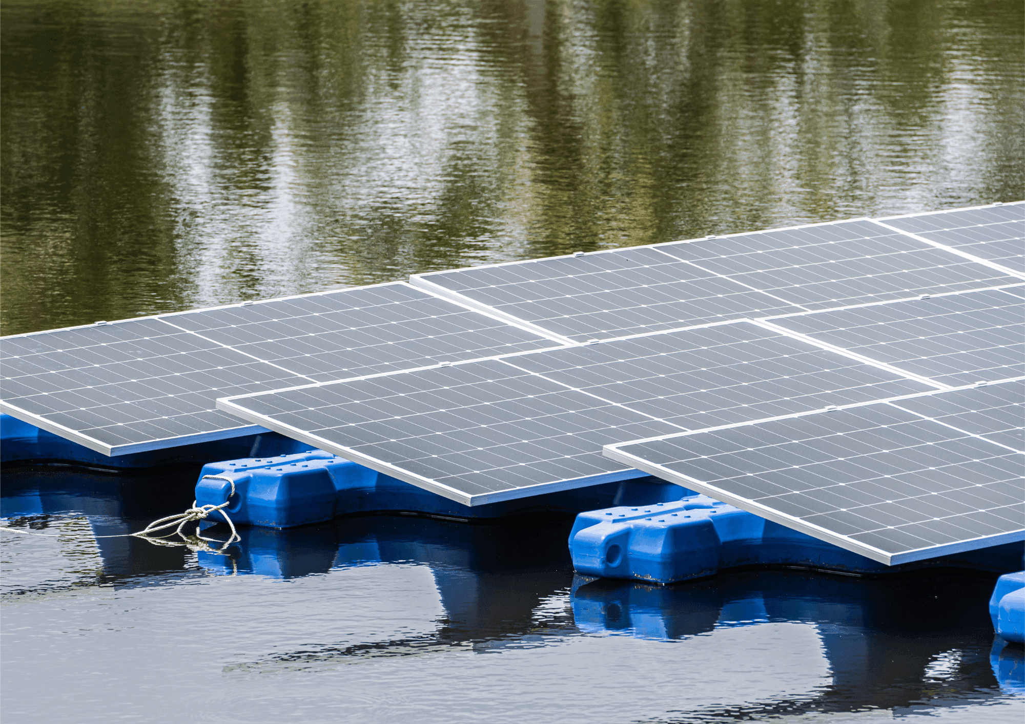 Sustainable Innovation